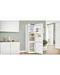 Bosch KGN392WDFG, Free-standing fridge-freezer with freezer at bottom