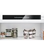 Bosch KUR21VFE0G, Built-under fridge