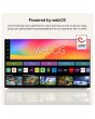 LG OLED48C66LB 
