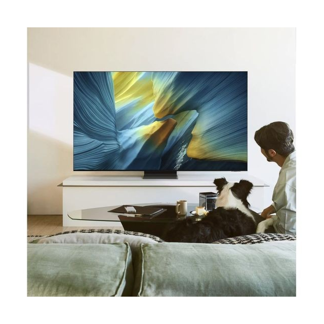 Samsung QE65S95FA 65inch- 4K -165HZ -OLED- NQ4 AI GEN3 PROCESSOR